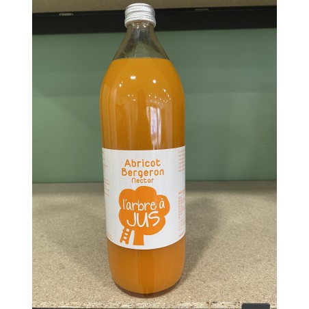 NECTAR D'ABRICOT BERGERON 1L