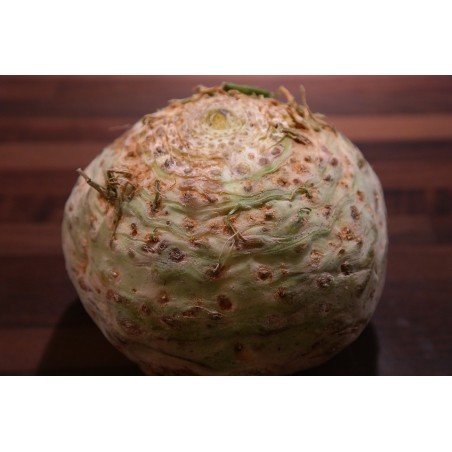 1 CELERI RAVE (PIECE)