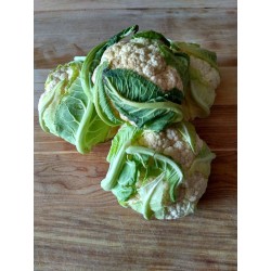 1 CHOUX FLEURS (PIECE)