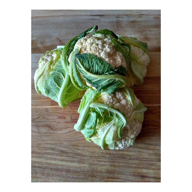 1 CHOUX FLEURS (PIECE)