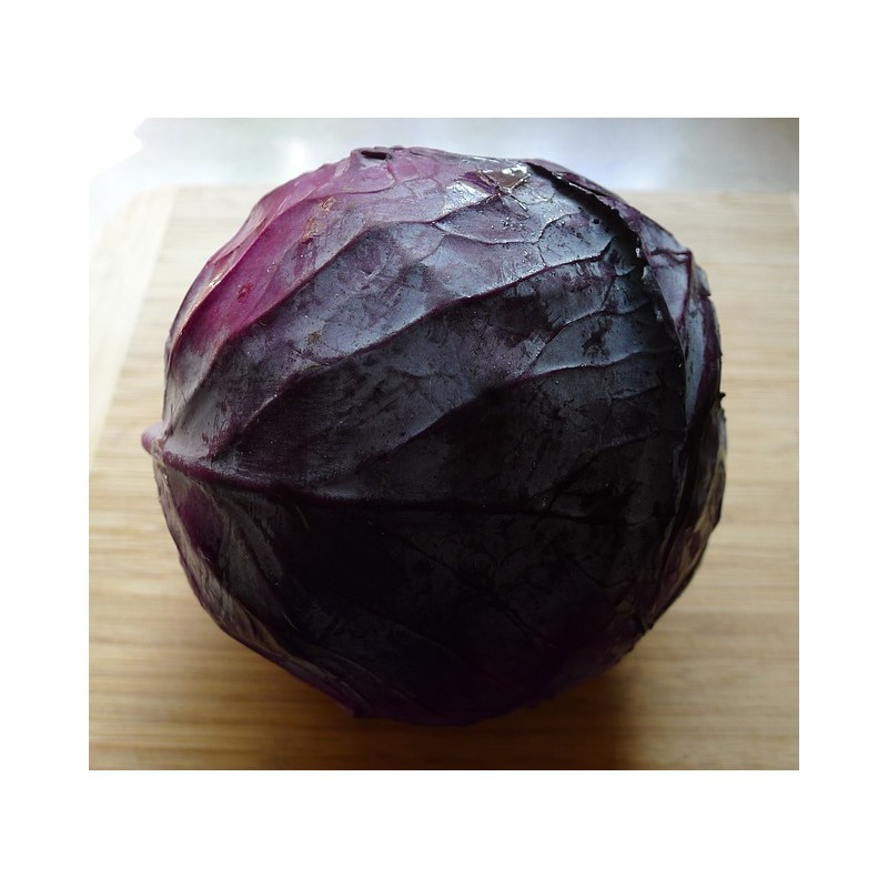 CHOU ROUGE OU BLANC BIO (PIECE)