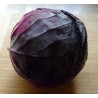 CHOU ROUGE OU BLANC BIO (PIECE)