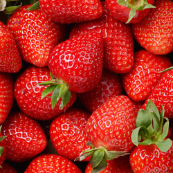 500Gr de fraises