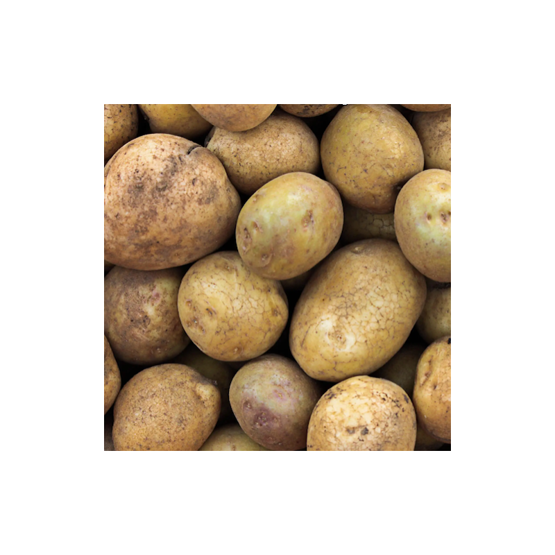 1 kg de pommes de terre